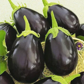 تصویر 3 از فروش بادمجان دلمه ای محلی + قیمت خرید به صرفه